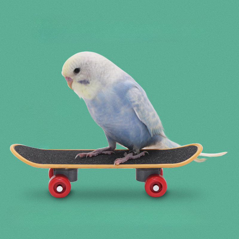 Parrot Toy Bird Scooter