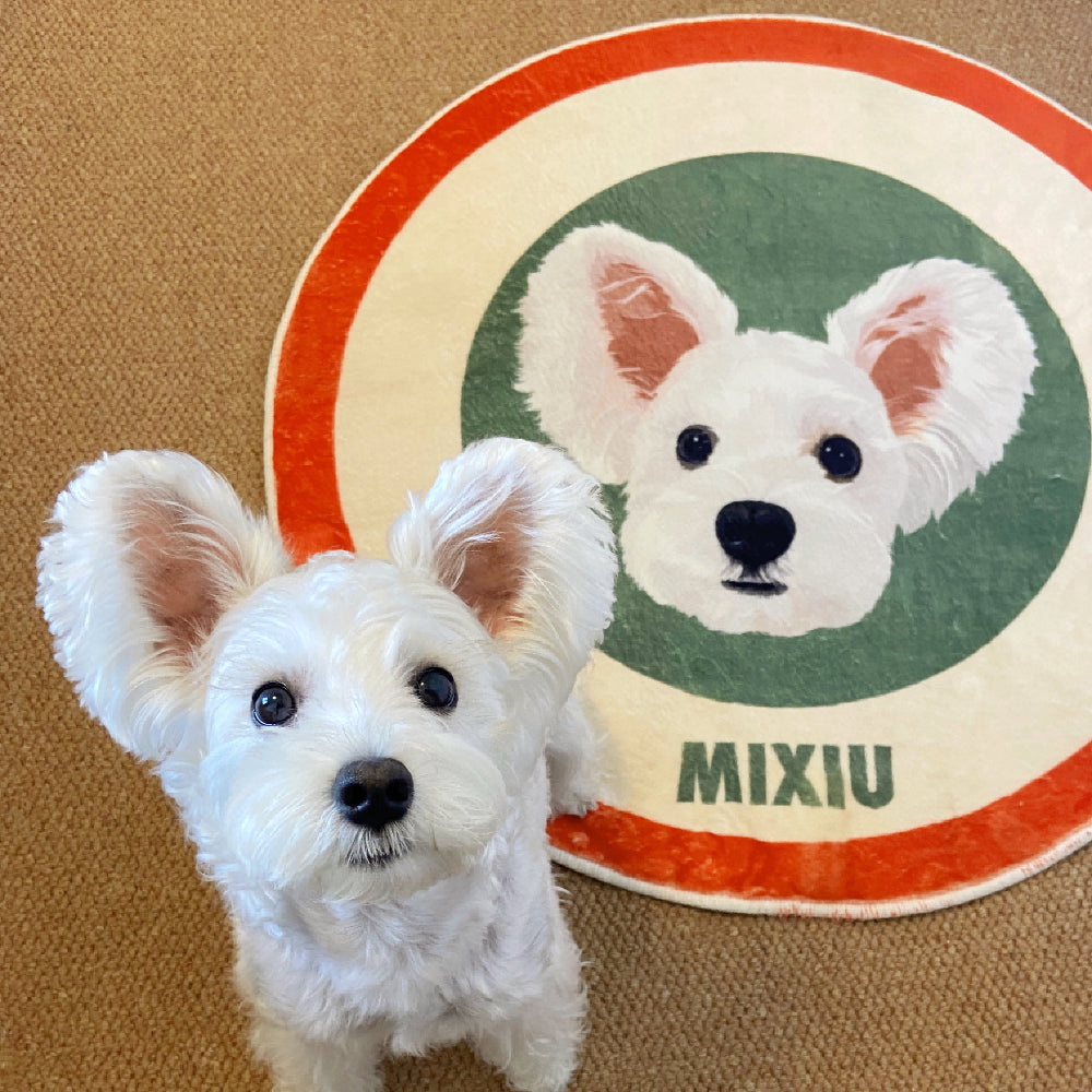 Customized Pet Velvet Carpet