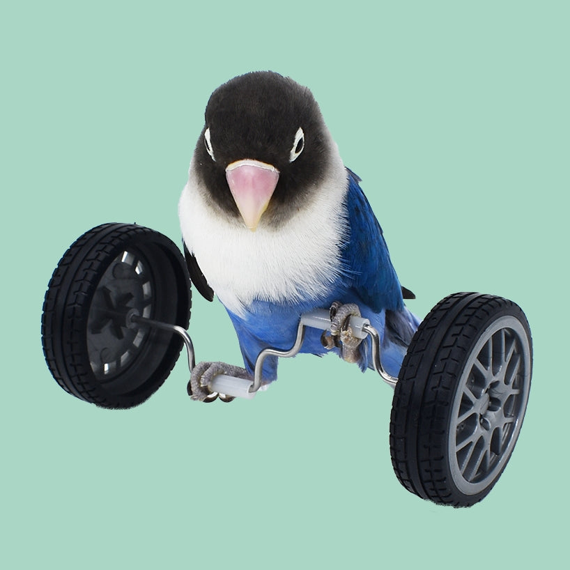 Parrot Toy Balance Car
