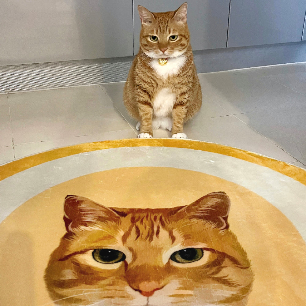 Customized Pet Velvet Carpet