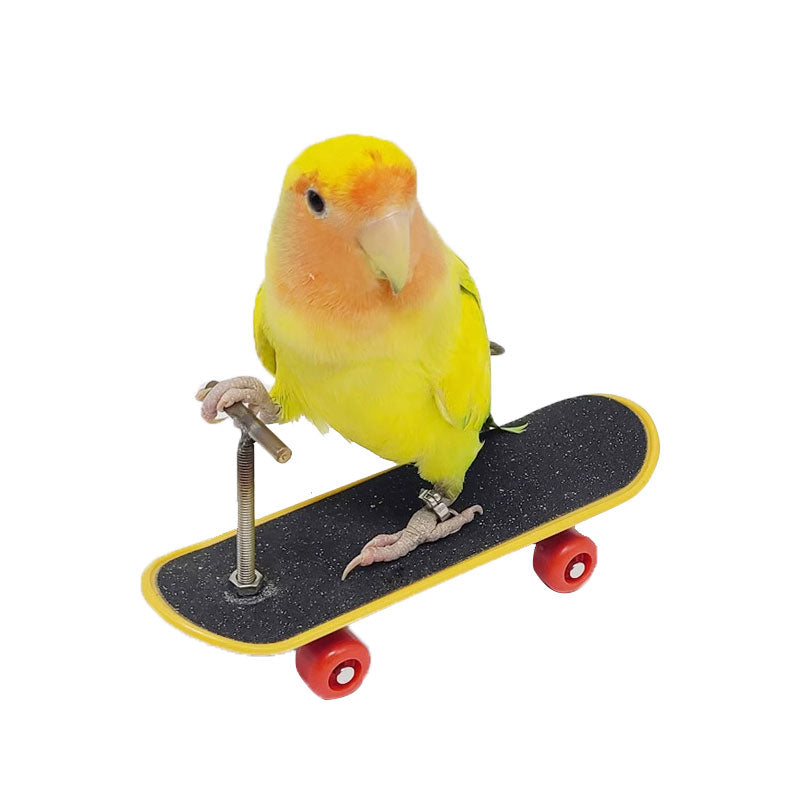 Parrot Toy Bird Scooter