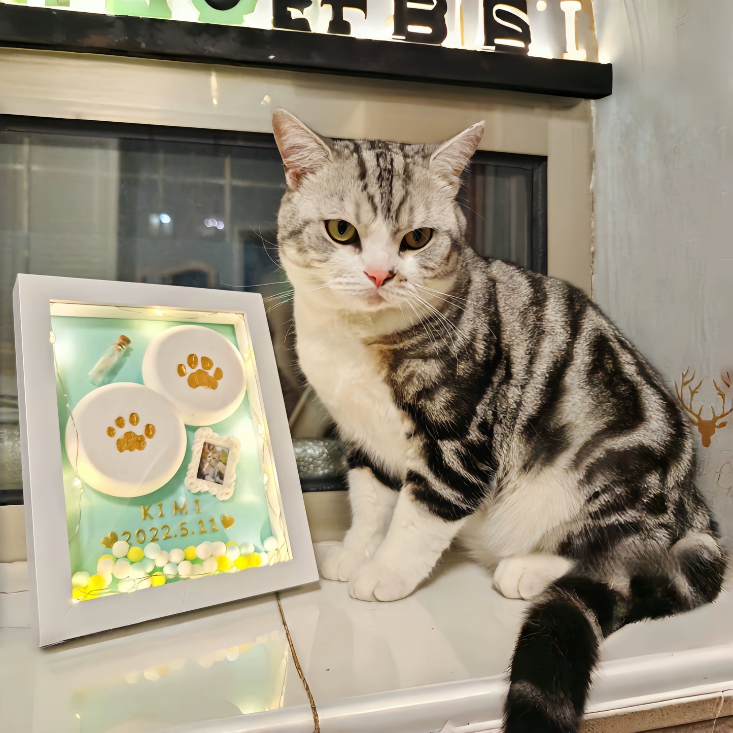 Pet Footprint Mud Diy