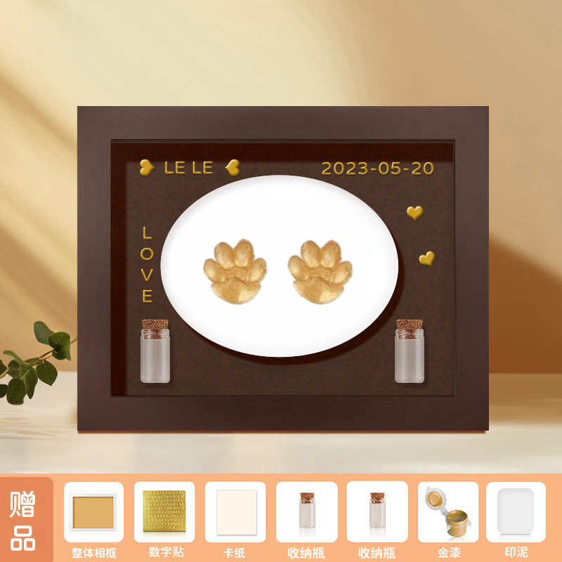 Pet Footprint Mud Diy
