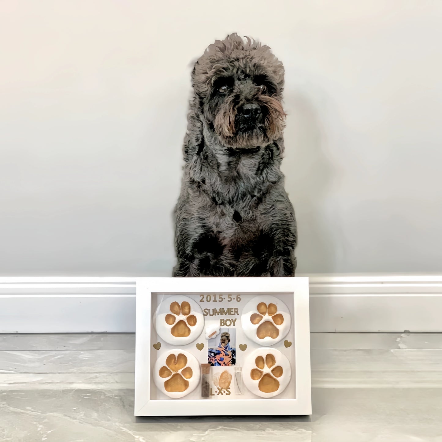 Pet Footprint Mud Diy