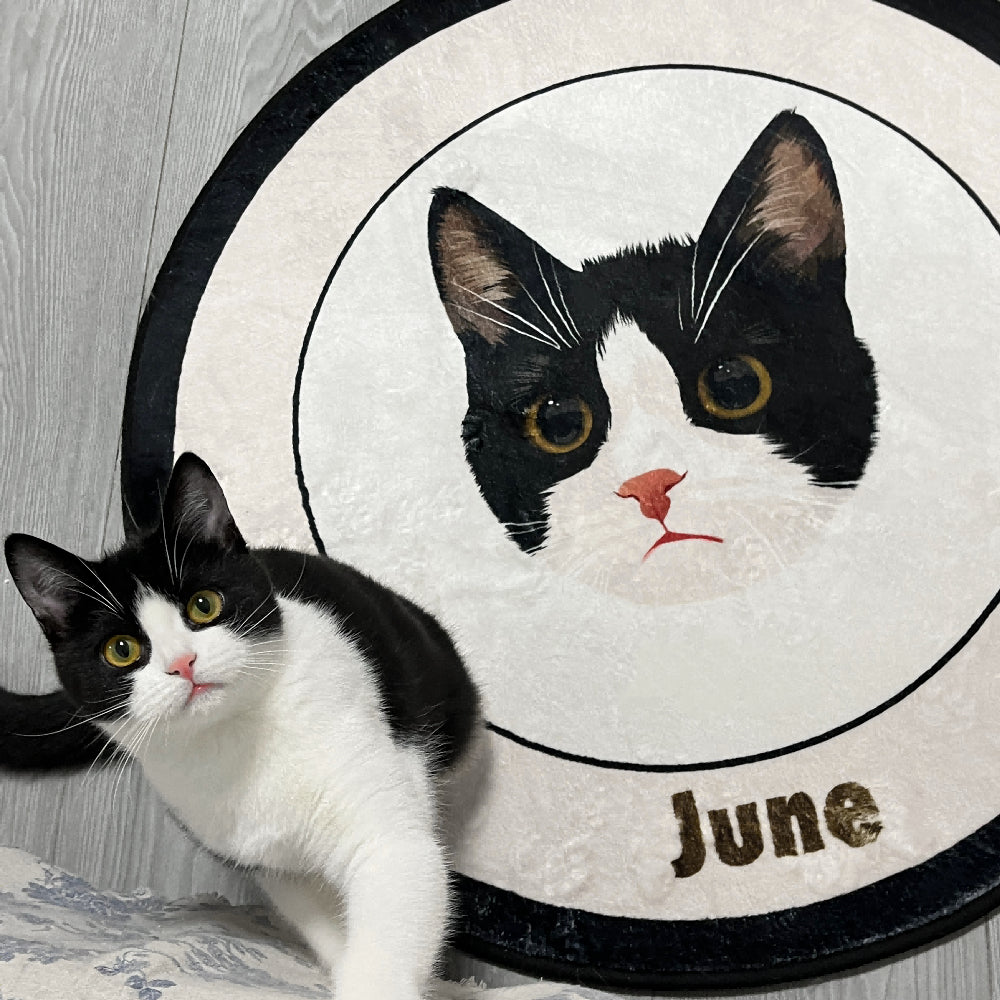 Customized Pet Velvet Carpet