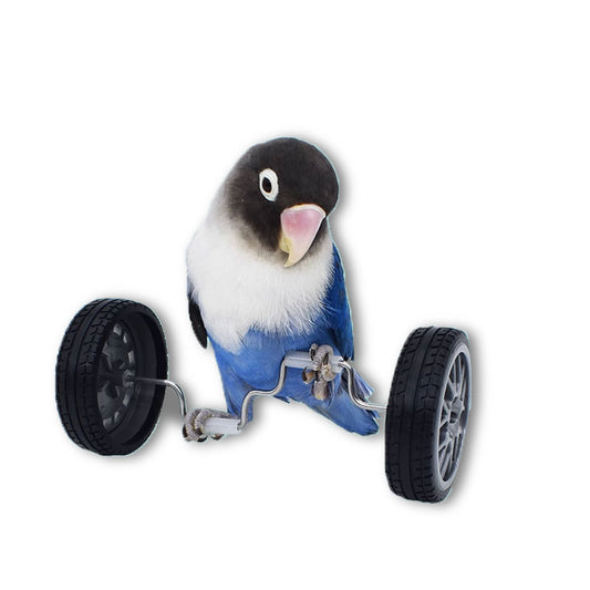 Parrot Toy Balance Car