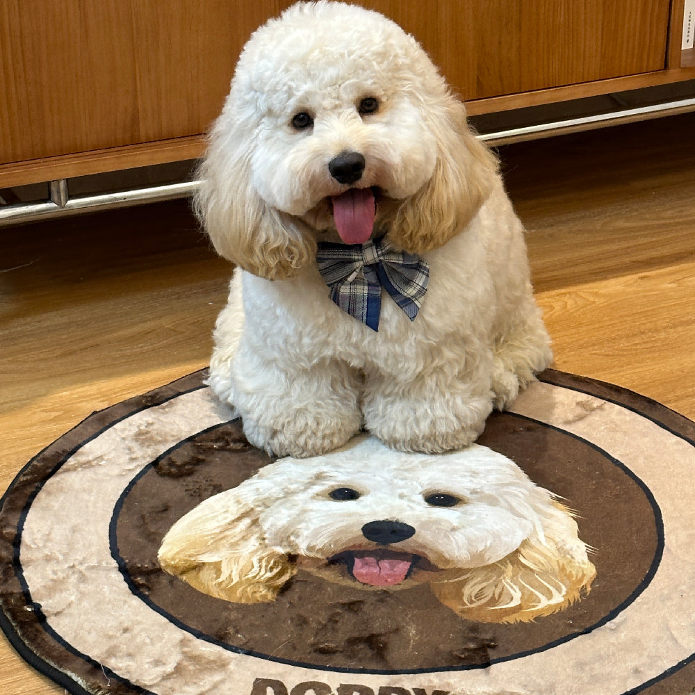 Customized Pet  Velvet Carpet